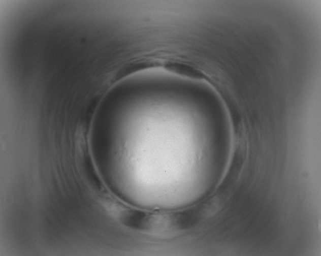 X0000083600127200702091230