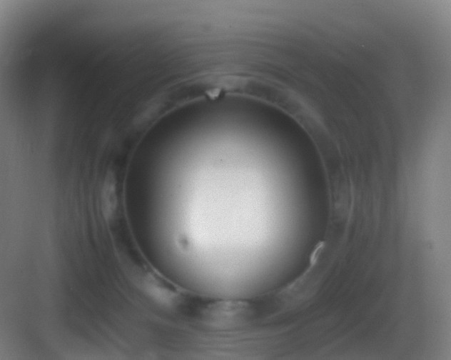 X0000083600128200702091230