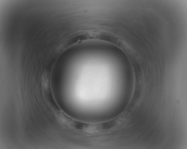 X0000083600129200702091230