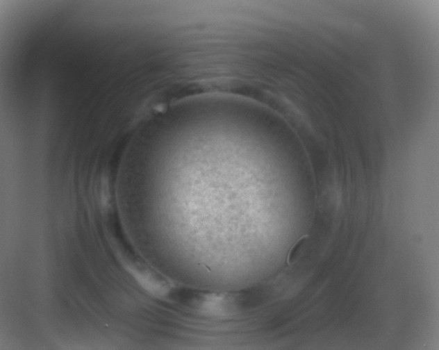 X0000083600130200702091230