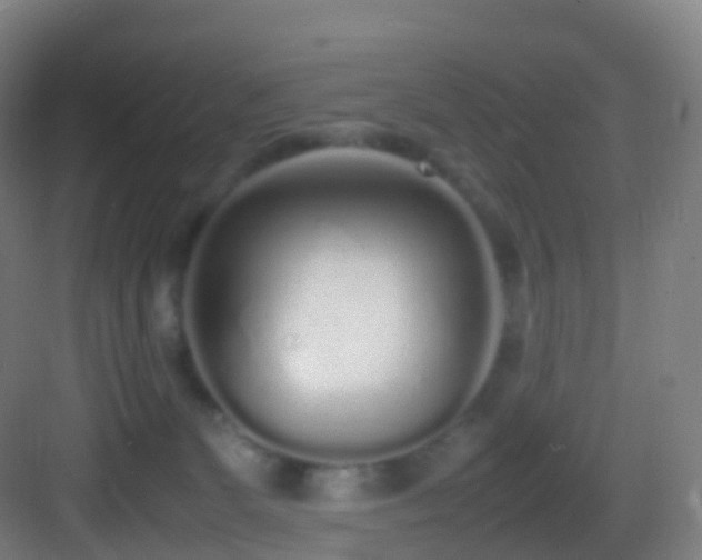 X0000083600131200702091230