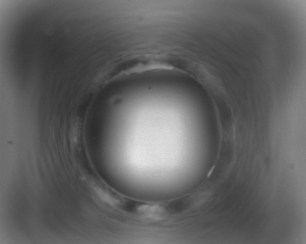 X0000083600133200702091230