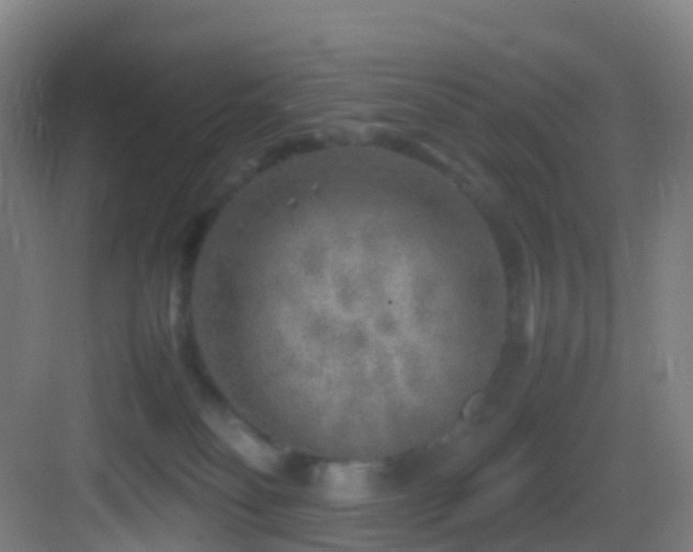 X0000083600134200702091230