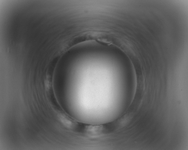 X0000083600135200702091230