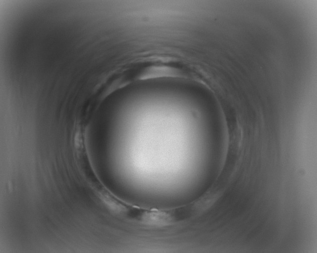 X0000083600137200702091230