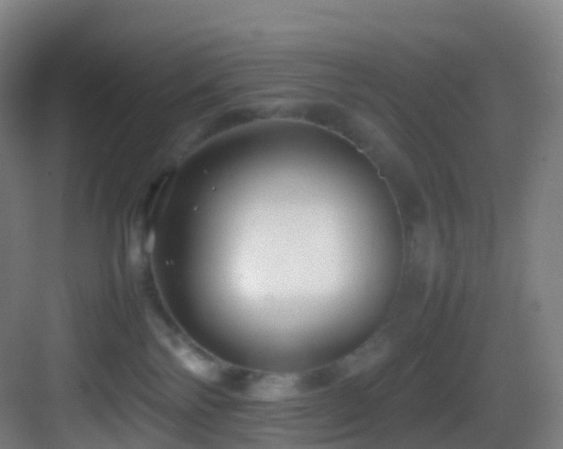 X0000083600138200702091230