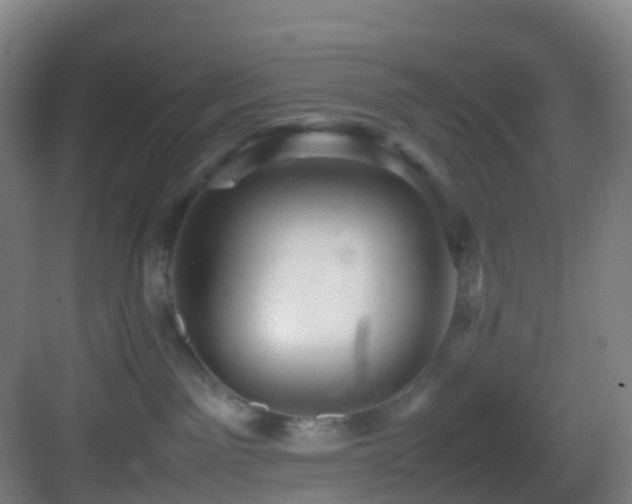 X0000083600141200702091230