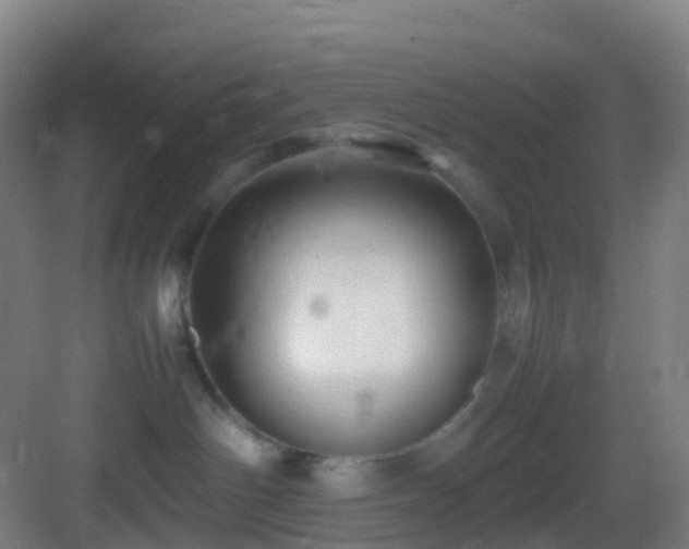 X0000083600142200702091229