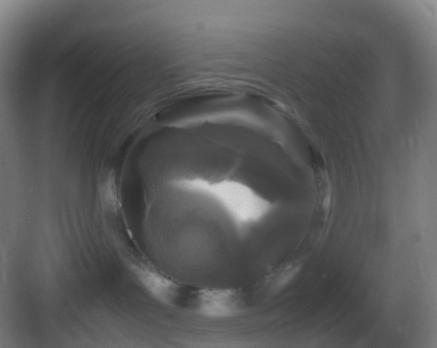 X0000083600143200702091229