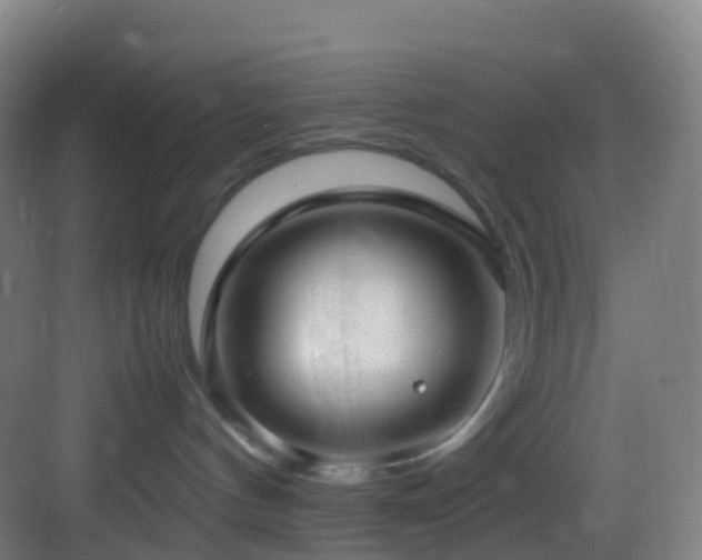 X0000083600144200702091229