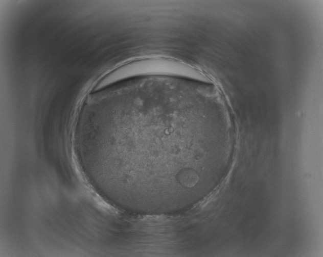 X0000083600145200702091229