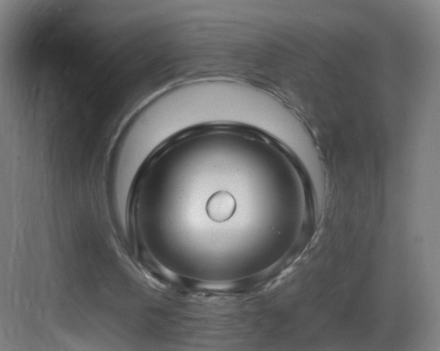 X0000083600146200702091229