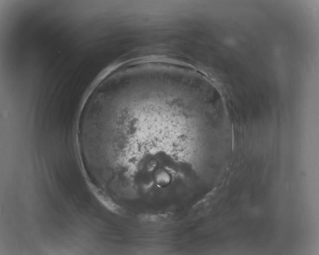 X0000083600147200702091229