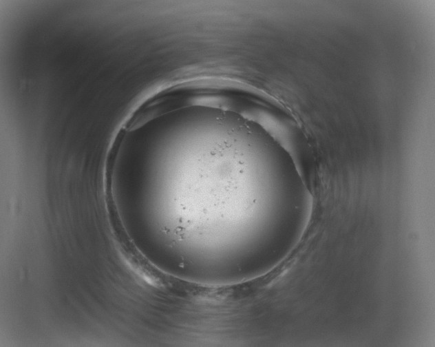 X0000083600148200702091229