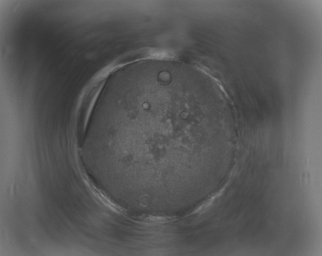 X0000083600149200702091229