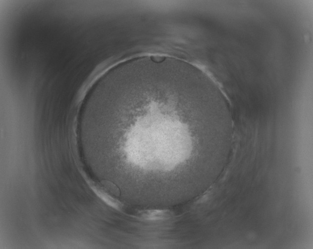 X0000083600151200702091229