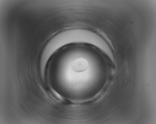 X0000083600154200702091229