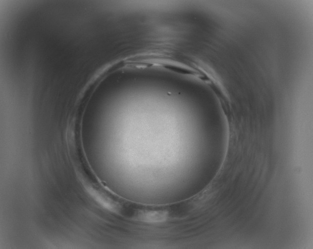 X0000083600155200702091229