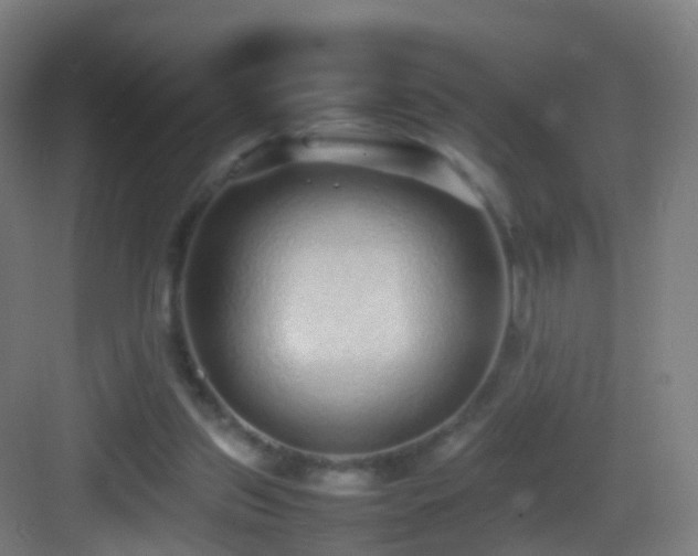 X0000083600157200702091229