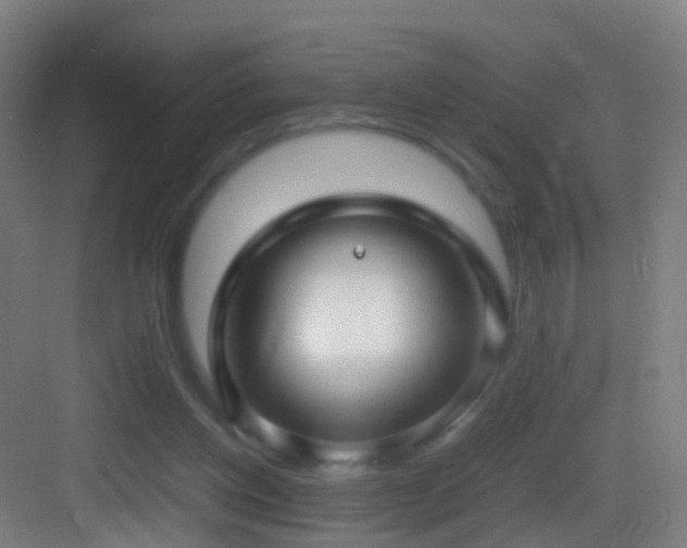 X0000083600158200702091229