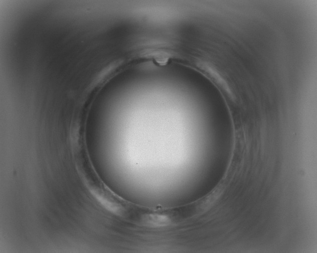 X0000083600159200702091229