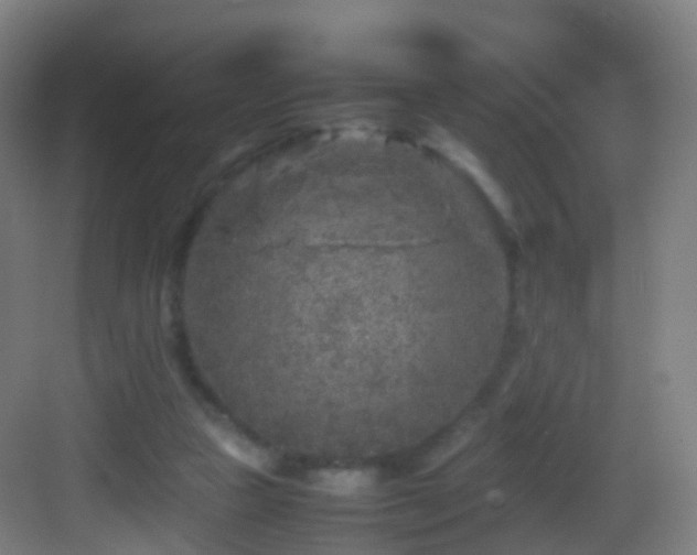 X0000083600161200702091229