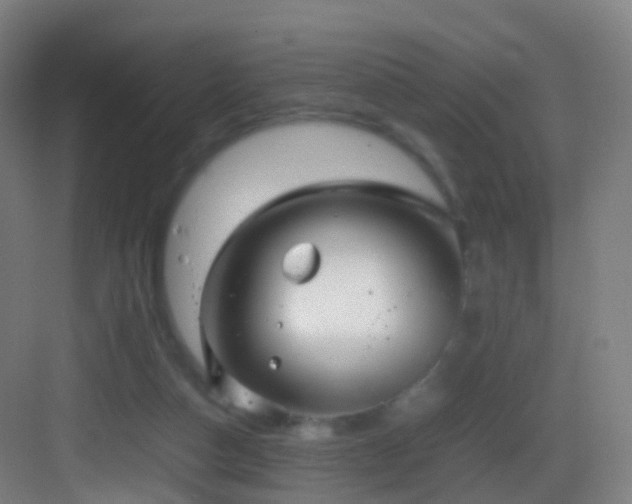 X0000083600162200702091229