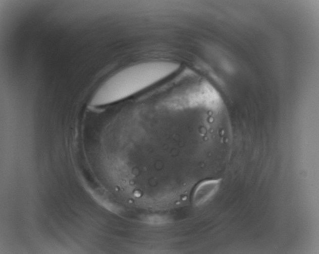 X0000083600163200702091229