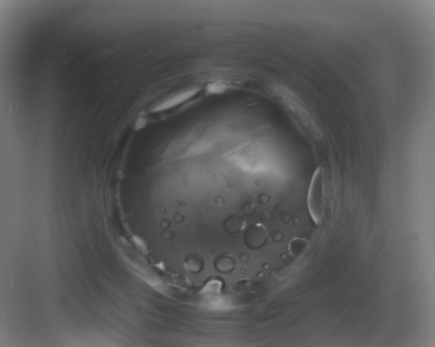 X0000083600167200702091229