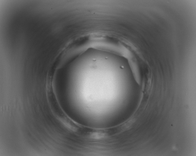 X0000083600168200702091229