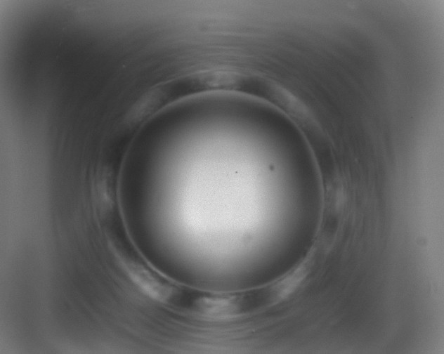 X0000083600170200702091229