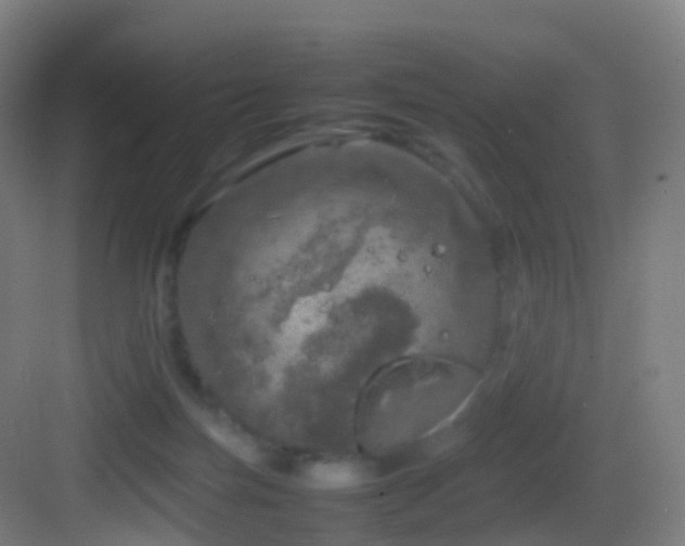 X0000083600171200702091229