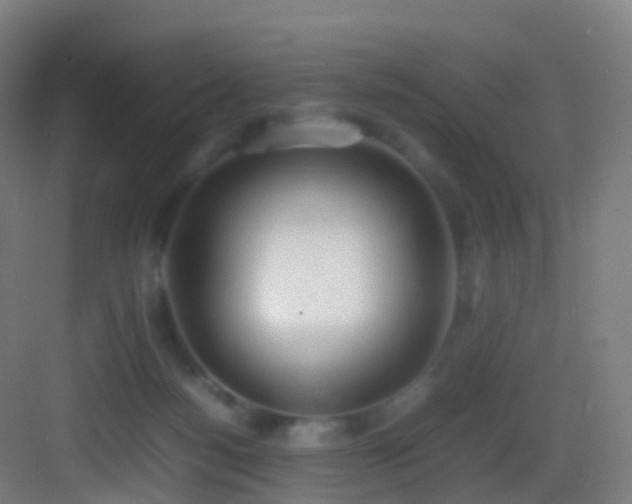 X0000083600172200702091229