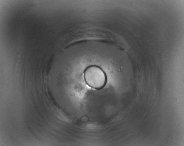 X0000083600173200702091229