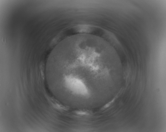 X0000083600175200702091229