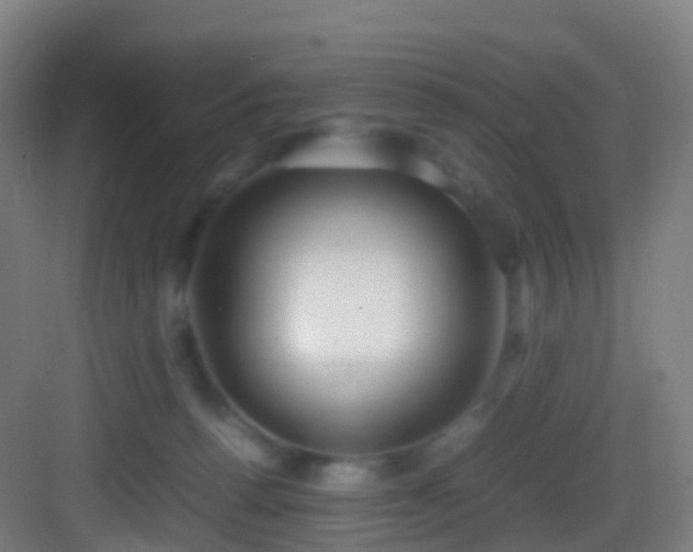 X0000083600176200702091229