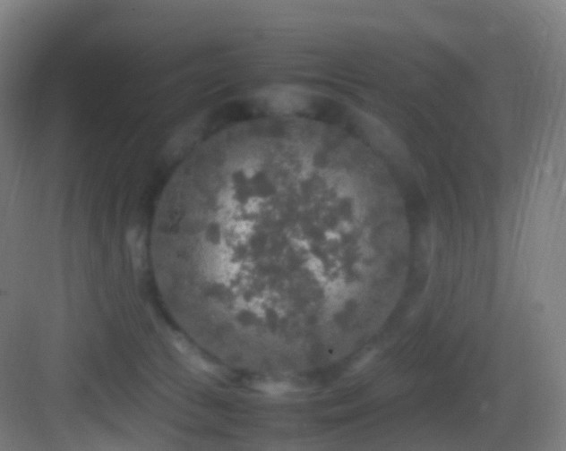 X0000083600177200702091229