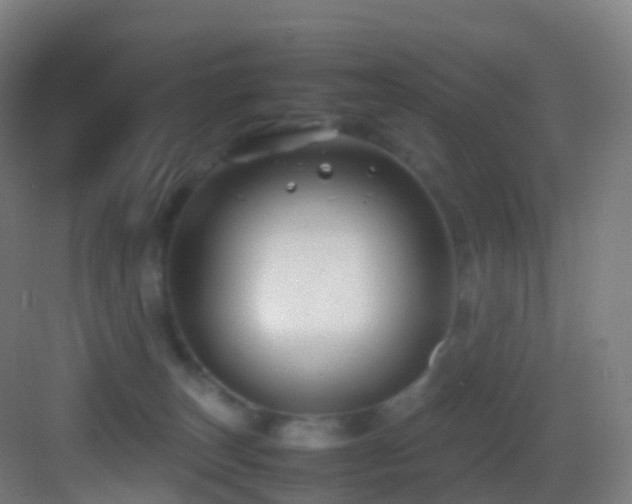 X0000083600179200702091229