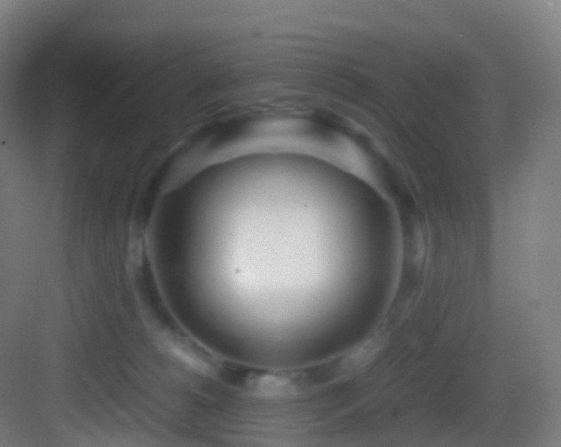 X0000083600180200702091229