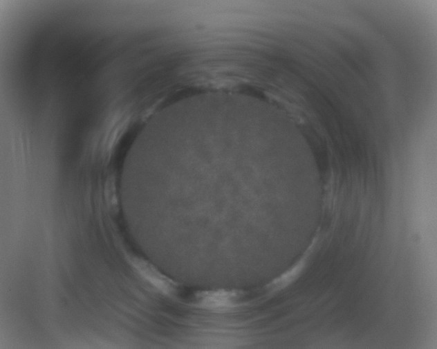 X0000083600182200702091229