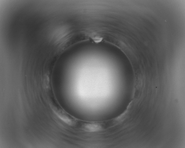 X0000083600183200702091229