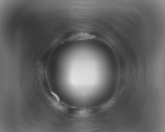 X0000083600184200702091229