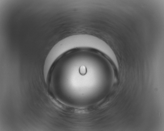 X0000083600185200702091229