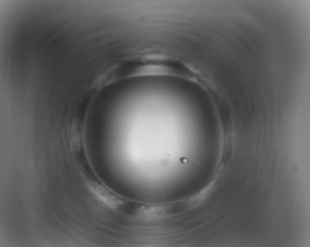 X0000083600186200702091229