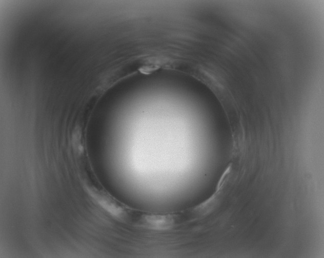 X0000083600187200702091229