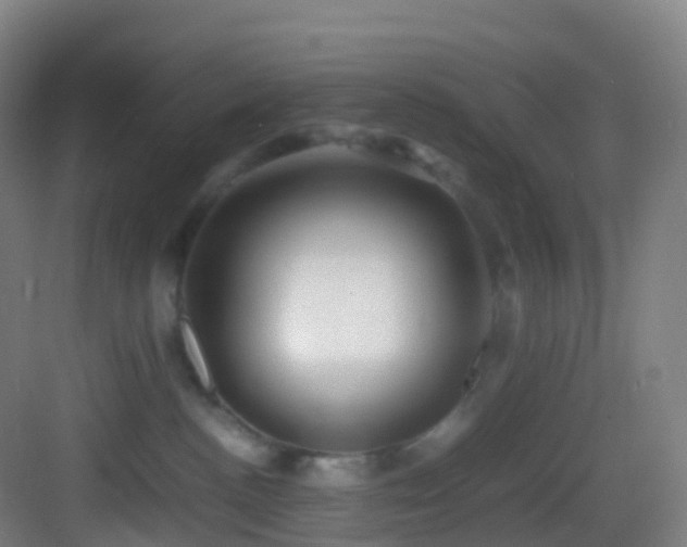 X0000083600188200702091229