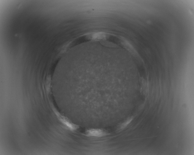 X0000083600189200702091229