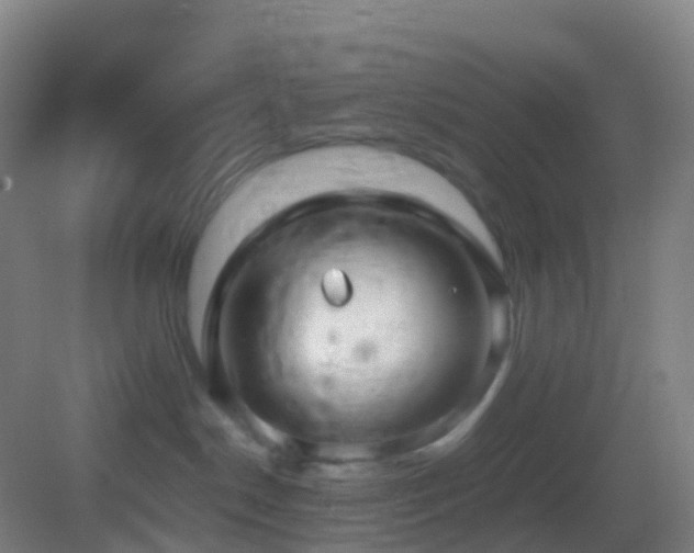 X0000083600190200702091229