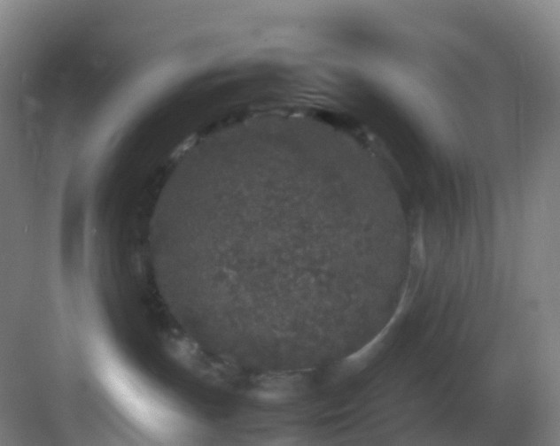 X0000083600191200702091229