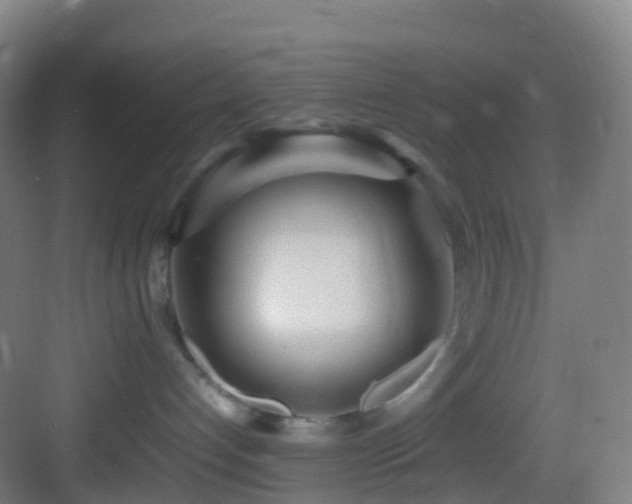 X0000083600192200702091229